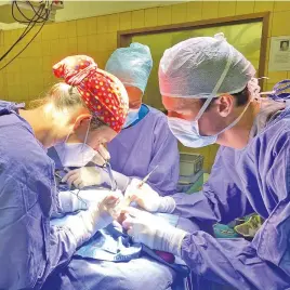  ??  ?? SPECIALIST SURGERY. Dr Elge Bester, left, and Dr Adriaan Kitshoff perform surgery on Theophylli­ne’s leg.