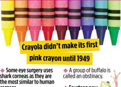  ??  ?? Crayola didn’t make its first pink crayon until 1949