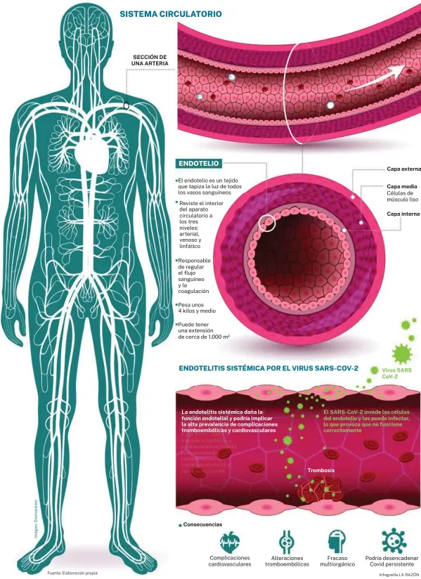  ?? Infografía LA RAZÓN ?? Fuente: Elaboració­n propia