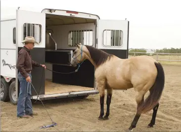  ??  ?? 1. Horses resist loading into trailers for many reasons, but for some the issue is confinemen­t of the narrow space. When a horse has confinemen­t issues, it’s best to take time to build his confidence through simulation­s before approachin­g the feared...