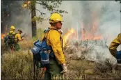  ?? JOE BRADSHAW — BLM ?? On Sept. 4, 2021, the Joint Base Lewis-McChord Soldiers and the BLM - CA Folsom Lake Veterans Hand Crew constructe­d handline, cleared brush, and dealt with hot spots along the handline north of Lake Davis and Portola.