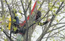  ?? FOTOS: HEY ?? Ein Demonstran­t besetzt einen Baum am Kieswerk in Mennisweil­er.