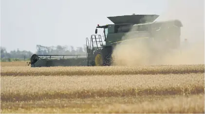  ?? ?? La tormenta perfecta. La sequía afectó los volúmenes de los principale­s productos de exportació­n.