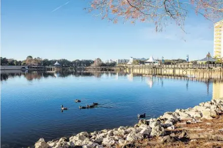  ?? PATRICK CONNOLLY / ORLANDO SENTINEL PHOTOS ?? Ducks swim in the lake shortly after sunrise at Cranes Roost Park in Altamonte Springs on Wednesday.