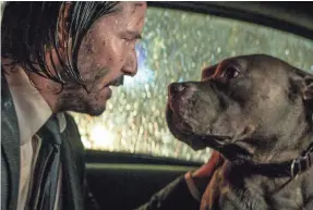  ?? LIONSGATE ?? Even with a heap of assassins after him, John Wick (Keanu Reeves) looks out for his loyal pit bull pal in “John Wick: Chapter 3 – Parabellum.”