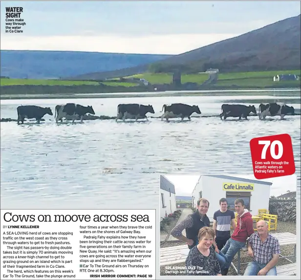  ??  ?? WATER SIGHT Cows make way through the water in Co Clare SPLASHING OUT The Darragh and Fahy families