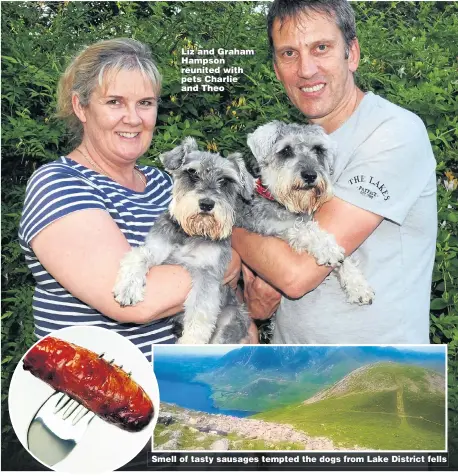  ??  ?? Liz and Graham Hampson reunited with pets Charlie and Theo Smell of tasty sausages tempted the dogs from Lake District fells