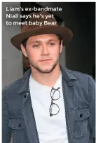  ??  ?? She married ex Jeanbernar­d in secret in 2014 after a whirlwind romance Liam’s ex-bandmate Niall says he’s yet to meet baby Bear