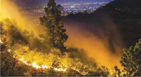  ?? Courtesy: Amir Iqbal ?? Wild forest fires in Margalla Hills have somehow become a regular occurrence. More than 70 firefighte­rs of Capital Developmen­t Authority (CDA) and Islamabad Wildlife Management Board (IWMB) battled the forest fire that was finally doused yesterday morning.