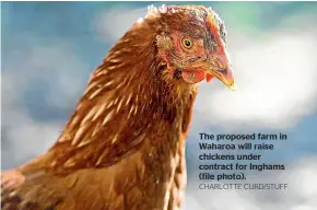  ?? CHARLOTTE CURD/STUFF ?? The proposed farm in Waharoa will raise chickens under contract for Inghams (file photo).