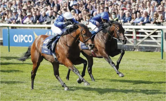  ?? Courtesy: Godolphin website ?? ↑
Coroebus, ridden by James Doyle, races towards the finish line to win the G1 2,000 Guineas Newmarket on Saturday.