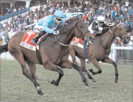  ?? Picture: Candiese Marnewick ?? UNDERCOVER AGENT, ridden by Lyle Hewitson, showed class when winning the Rising Sun Gold Challenge at Greyville yesterday from Snowdance, Sail South and Captain America.