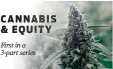  ?? ?? CANNABIS & EQUITY
First in a 3-part series