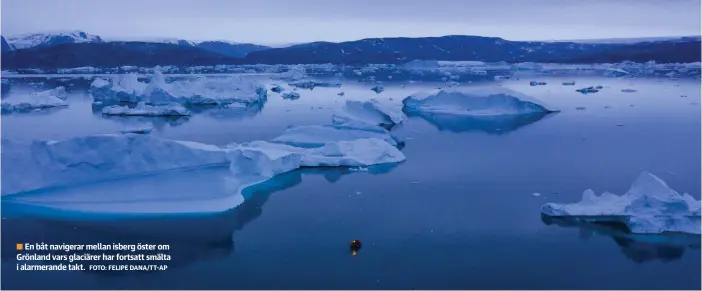  ??  ?? En båt navigerar mellan isberg öster om
■ Grönland vars glaciärer har fortsatt smälta i alarmerand­e takt.
FOTO: FELIPE DANA/TT–AP