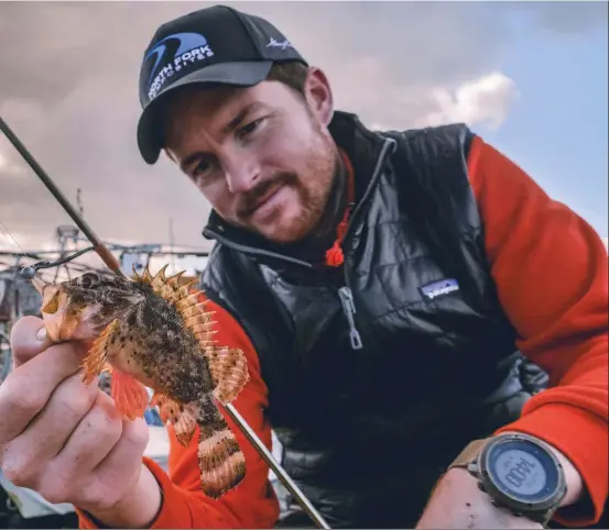  ??  ?? La rascasse est une espèce symbolique du rockfishin­g en Méditerran­ée.