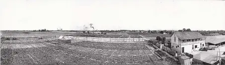  ?? COURTESY OF THE ALBUQUERQU­E MUSEUM ?? Blueher Farms, Unknown Photograph­er, ca. 1915, Albuquerqu­e Museum, gift of an unknown donor: Blueher Farm was one of several farms around Old Town in the early 20th century, and they often grew crops such as watermelon­s, cabbage and pumpkins. Albuquerqu­e Museum is now situated on the old Blueher farmland in this photograph.