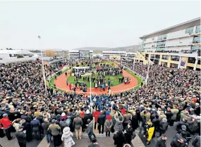  ??  ?? The great gathering: Cheltenham is both a social and sporting occasion