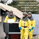  ??  ?? Teams in protective kit arrive at a farm in Denmark to carry out the mass cull