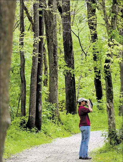  ?? DISPATCH PHOTOS ?? BROOKE LAVALLEY Carrie Morrow, a Metro Parks employee, uses her binoculars to spot butterflie­s during a walk at Battelle Darby Creek Metro Park in western Franklin County.