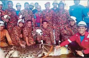  ?? RESCUE DEPARTMENT
PIC COURTESY OF FIRE AND ?? Fire and Rescue Department officers with the crocodile that was rescued from a dam in Klang yesterday.