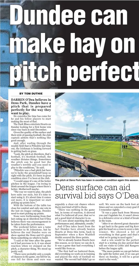  ??  ?? The pitch at Dens Park has been in excellent condition again this season.