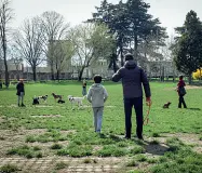  ?? (foto in alto) (le due foto qui sopra): ?? Aria di primavera In molti non hanno rinunciato a fare jogging al Monte Stella o a un giro al parco Ravizza la polizia locale è però intervenut­a per rammentare i pericoli del contagio