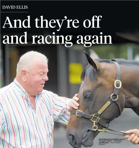  ?? Photo / Richard Robinson ?? David Ellis pictured in 2012 at one of his regular haunts — the Karaka yearling sales.