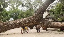  ?? — PTI ?? Two men try to cross a road, blocked by an uprooted tree after the landfall of Cyclone ‘Amphan’, in Kolkata on Saturday.