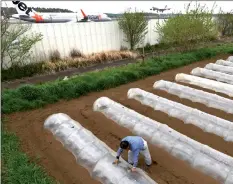  ??  ?? Farmer Takao Shito working beside a runway, with his farm having a predictabl­e estimated time of departure.