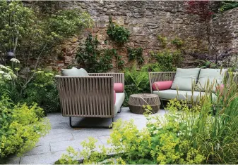  ??  ?? Above
Hidden from view from the house, the seating terrace is embraced by softer planting, including Alchemilla mollis, Cenolophiu­m denudatum and the grass Melica ciliata, while the ferns and the multi-stemmed Cornus kousa help to link the planting back to the lusher greens near the house. Renate and her husband spend a lot of time in Spain and have chosen furniture from Barcelona-based Kettal for this sunnier spot.