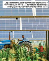  ?? (Istock) ?? La palabra compuesta “agrivoltai­ca” (agricultur­a y fotovoltai­ca) se refiere a la agrupación de la energía solar y agricultur­a en la misma superficie.