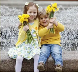  ?? Photo: Andres Poveda ?? Aoibhinn (4) and Edward Breen (3) from Rathfarnha­m, Dublin, promoting the Irish Cancer Society’s Daffodil Day.