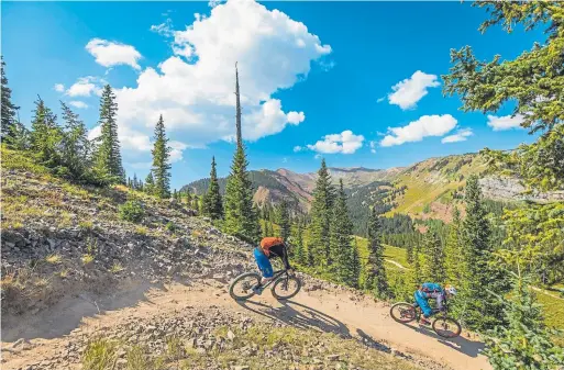  ??  ?? Mountain bikers enjoy a summer ride around Snowmass. The Roaring Fork Valley has been honored as Colorado’s first gold-level ride center by the Internatio­nal Mountain Bicycling Associatio­n.