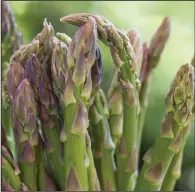 ?? ?? Asparagus takes two full years to yield its tasty spears. (Ball Horticultu­ral Company via AP)