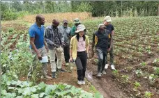  ?? PROVIDED TO CHINA DAILY ?? Li Yi, who is promoting agricultur­al technologi­es, works on a farm with her colleagues in Nairobi in April 2022.