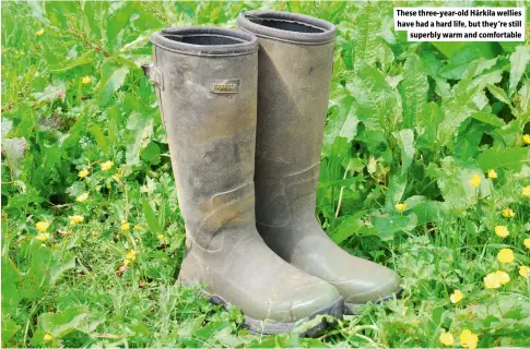  ?? ?? These three-year-old Härkila wellies have had a hard life, but they’re still superbly warm and comfortabl­e