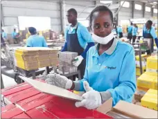  ??  ?? Kenyan employees at the Twyford Ceramics Factory financed by two Chinese companies in Kajiado County, Kenya (XINHUA)