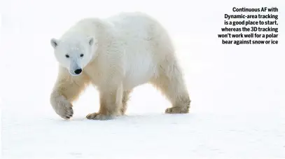  ??  ?? Continuous AF with Dynamic-area tracking is a good place to start, whereas the 3D tracking won’t work well for a polar bear against snow or ice