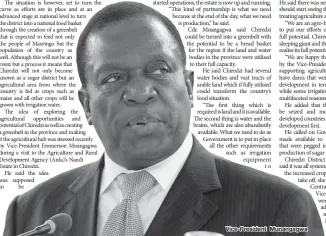  ??  ?? Vice-President Munangagwa
