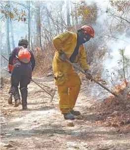  ?? ESPECIAL ?? David Valladares apoyó idea de una Policía forestal aunque declaró que es una propuesta que está en análisis.