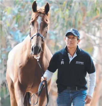  ?? Picture: TASRACING ?? SUCCESS: Stable foreman Yuichi Mori with Gogo Grace at Patherton Park.