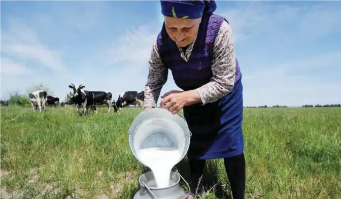  ??  ?? ZHADENY, Belarus: An elderly woman pours milk after milking in the village of Zhadeny, some 300 km southwest of Minsk on June 4, 2017. —AFP