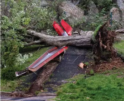  ?? FOTO: NTB SCANPIX ?? Dette treet veltet over og knuste ei sklie i en barnehage på Gimlekolle­n under uvaeret fredag.