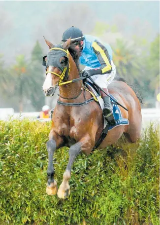  ?? Photo / Trish Dunell ?? Thenamesbo­nd may not fire his best shot at Te Rapa today.