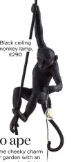  ??  ?? black ceiling monkey lamp, £290