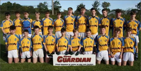  ??  ?? The successful Taghmon-Camross squad.