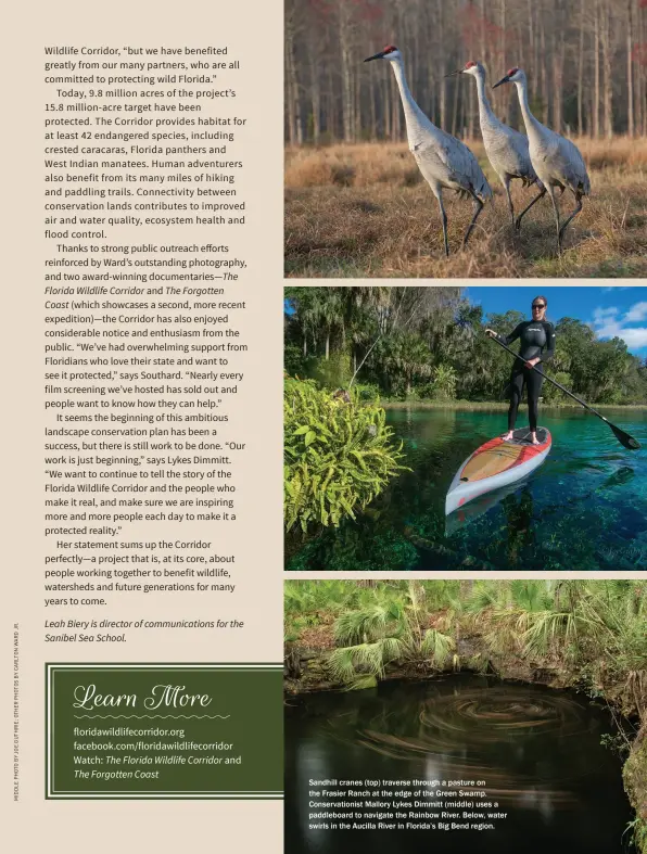  ??  ?? Sandhill cranes (top) traverse through a pasture on the Frasier Ranch at the edge of the Green Swamp. Conservati­onist Mallory Lykes Dimmitt (middle) uses a paddleboar­d to navigate the Rainbow River. Below, water swirls in the Aucilla River in Florida’s...