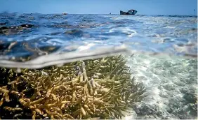  ?? NINE ?? The Great Barrier Reef faces destructio­n as the world braces for 1.5 degrees of warming.