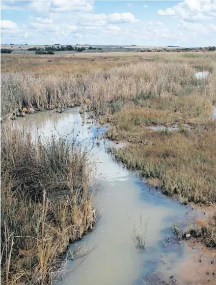  ?? Photo: James Puttick ?? Polluting: Levels of acid water from old gold mines on the East Rand in Gauteng are escalating, threatenin­g to pollute the groundwate­r in the area.