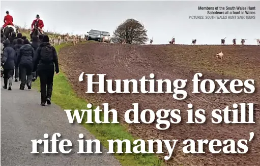  ?? PICTURES: SOUTH WALES HUNT SABOTEURS ?? Members of the South Wales Hunt Saboteurs at a hunt in Wales